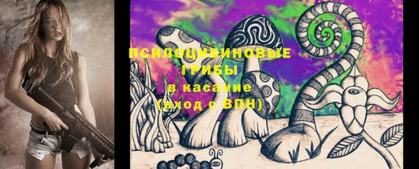 PSILOCYBIN Абдулино