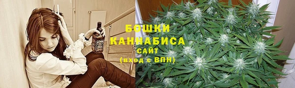 ГАЛЛЮЦИНОГЕННЫЕ ГРИБЫ Пестово