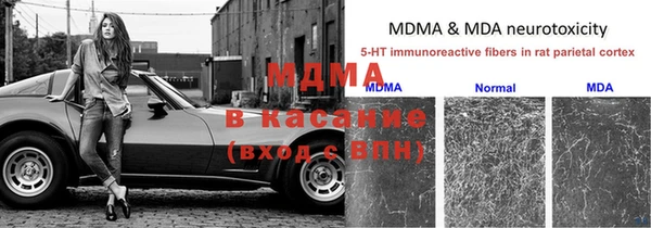 ГАЛЛЮЦИНОГЕННЫЕ ГРИБЫ Пестово