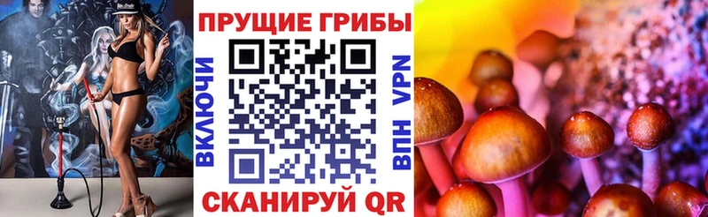 дарнет шоп  Костомукша  ссылка на мегу онион  Галлюциногенные грибы Cubensis 