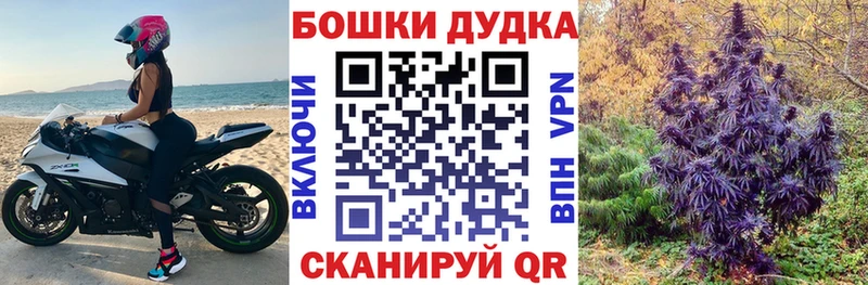 Бошки марихуана AK-47 Костомукша